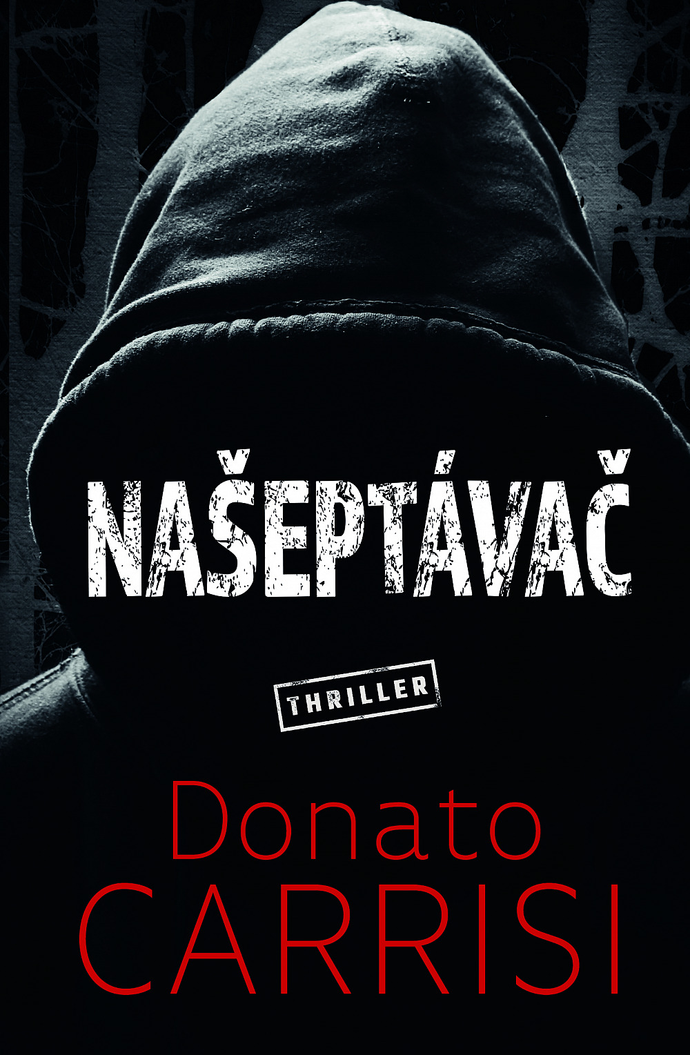 Žádný dostupný obrázek