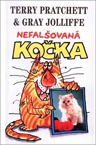 Žádný dostupný obrázek
