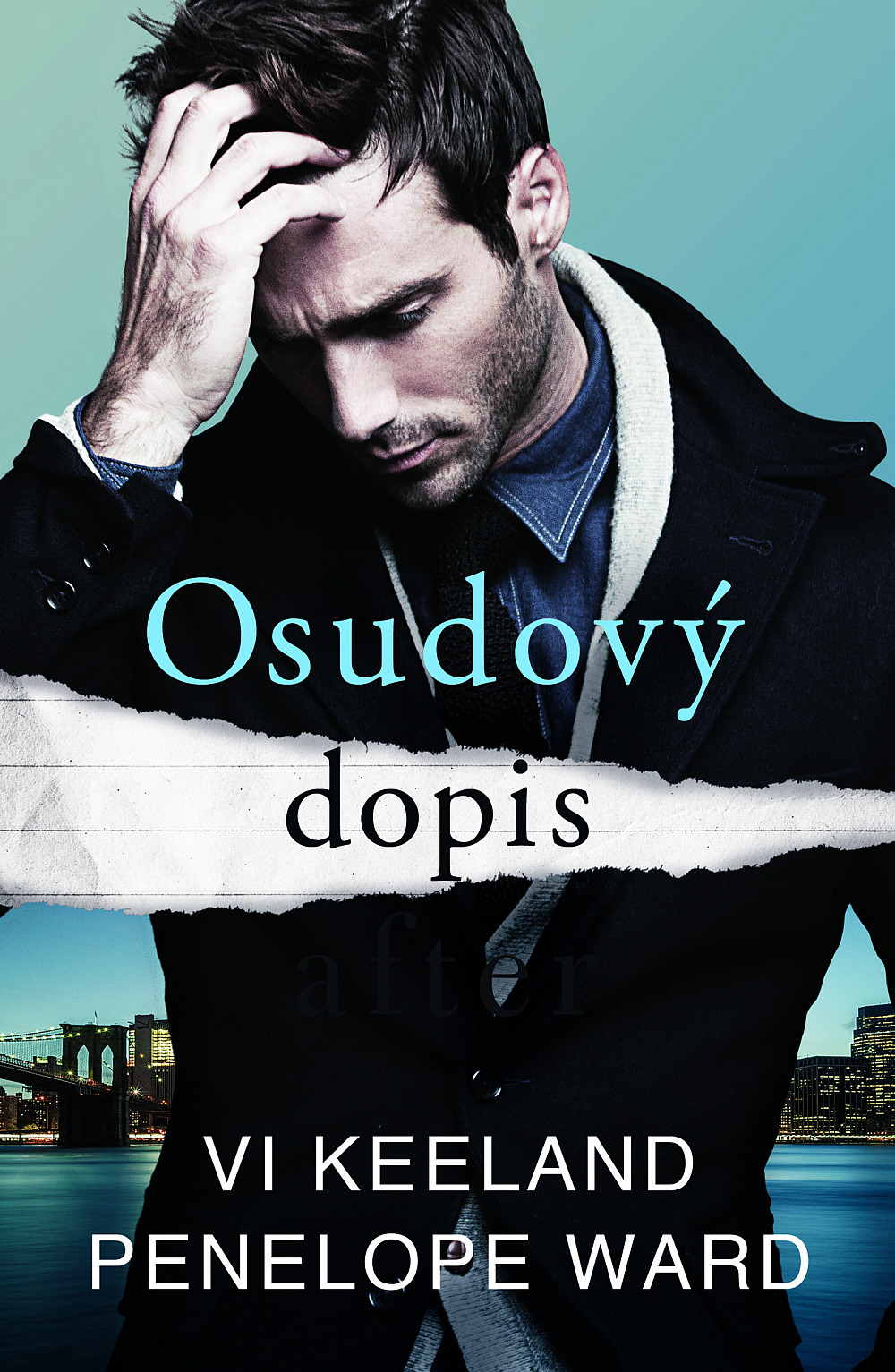 Žádný dostupný obrázek