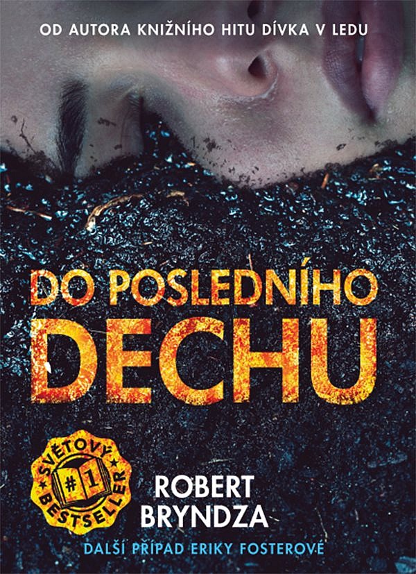 Žádný dostupný obrázek