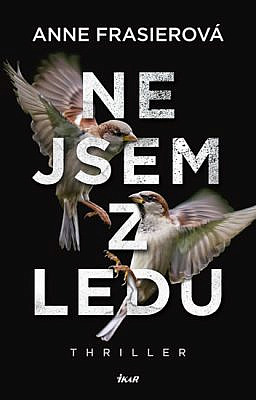 Žádný dostupný obrázek