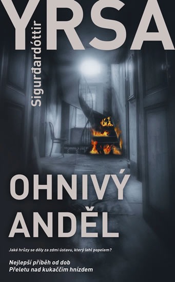Žádný dostupný obrázek