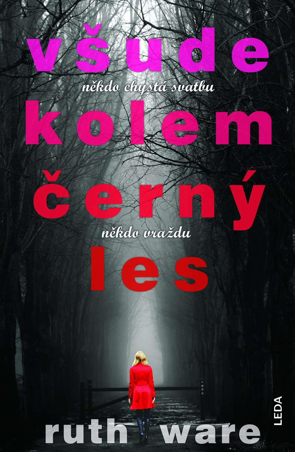 Žádný dostupný obrázek
