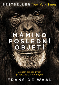 Žádný dostupný obrázek